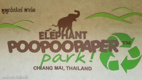 A Chiang Mai per gli elefanti...