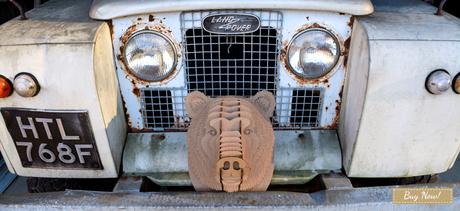 Cardboard Safari: i trofei animal-friendly bear_B_L_rover_0ilovegreen