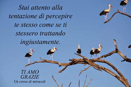 Stai attento alla tentazione di percepire te stesso come se ti stessero trattando ingiustamente.