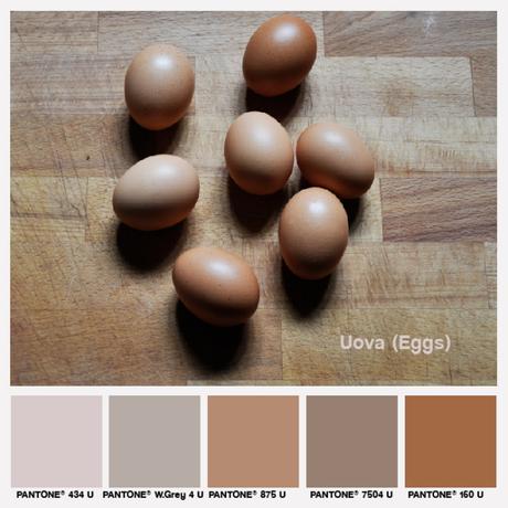 lacaccavella, foodcolors, colors, pantone, beige, uova, eggs