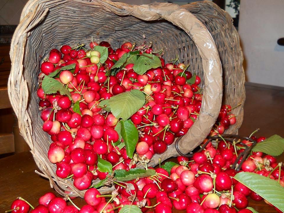 Il Frutteto di Bersej Il Frutteto di Bersej : Frutta