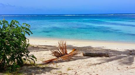 I colori della barriera corallina a Rarotonoga - foto Elisa Chisana Hoshi