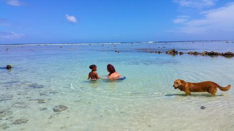 Benvenuti a Rarotonga, l'isola senza semafori e dove i sogni diventano realtà