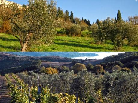 strade del vino, dell'olio e del fashion