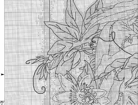 Schema de La fatina della passiflora