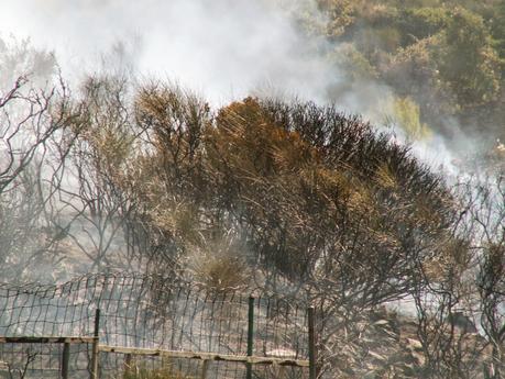 Tempesta di vento e fuoco