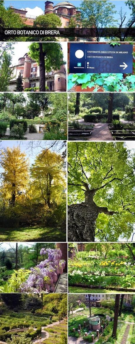 Orto botanico di Brera - Milano -