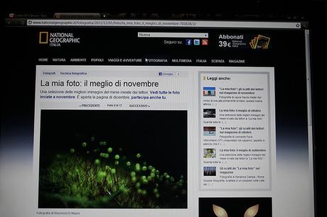 Today’s front page of National Geographi by Eleonora Di Mauro, on Flickr