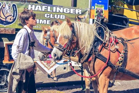 LA DESMONTEGADA IN VAL DI FIEMME [ PICCOLE GUIDE IN FOTOGRAFIE ®]