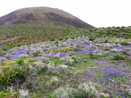 Lanzarote: Un viaggio nel trapassato remoto (Seconda parte)