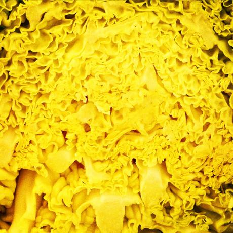 Una cena vista da vicino IMG_4211