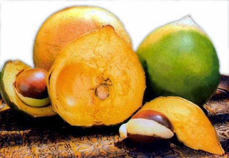 L'Oro degli Inca, la Lucuma L'Oro degli Inca, la Lucuma