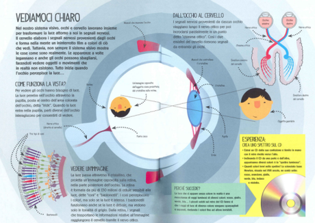 Illusione ottica? No! Eclissi di sole! Illusioni ottiche, Jon Kirkwood, Shaw Neilsen - 2015 Editoriale scienza