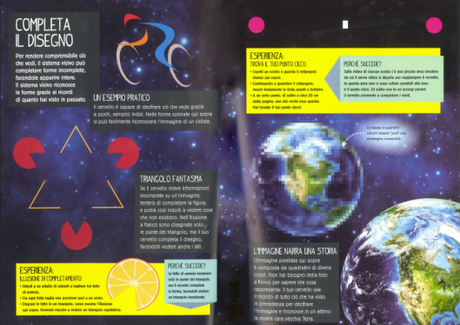 Illusione ottica? No! Eclissi di sole! Illusioni ottiche, Jon Kirkwood, Shaw Neilsen - 2015 Editoriale scienza