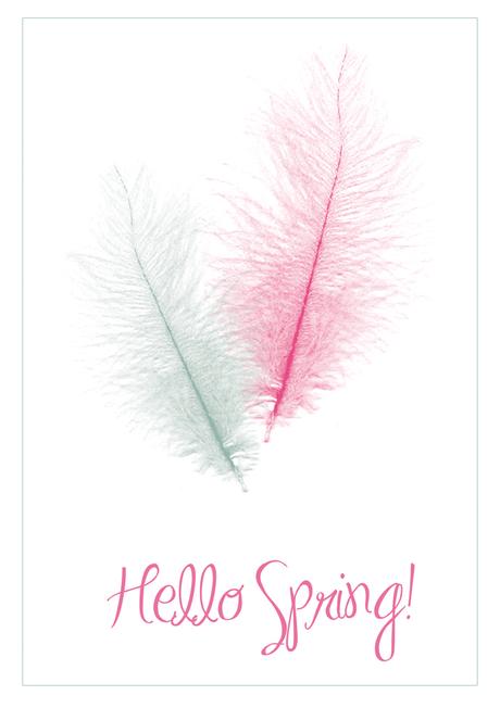 Hello Spring - free printable card - design by alex b