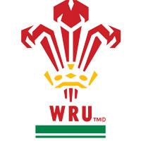 Rugby 6 Nazioni 2015, Italia - Galles (diretta esclusiva in chiaro su DMAX)