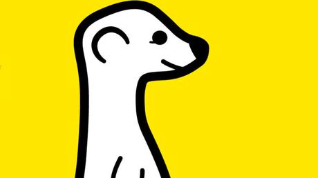 Meerkat, lo streaming facile che fa paura a Twitter