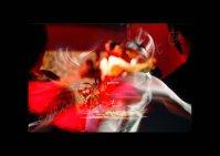 creativeproject - riTANGO-M&M 2015 (2) Musica&Musiche 2015 – PASSATOePRESENTE immagini 2° concerto