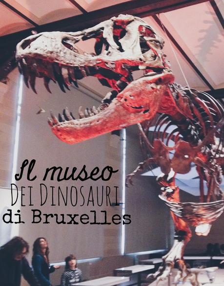 Il Museo dei Dinosauri di Bruxelles