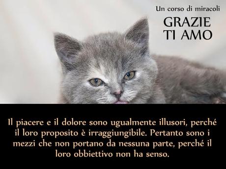 Il peccato varia tra il dolore e il piacere, tornando di nuovo al dolore. Parte 1.