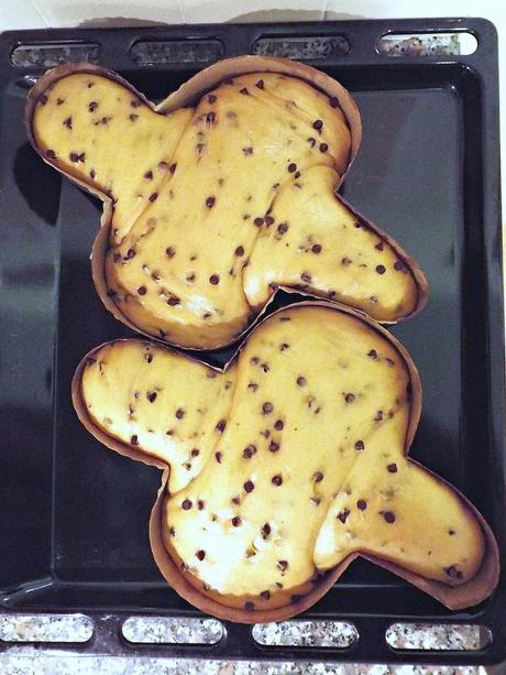 Colomba al cioccolato con lievito madre