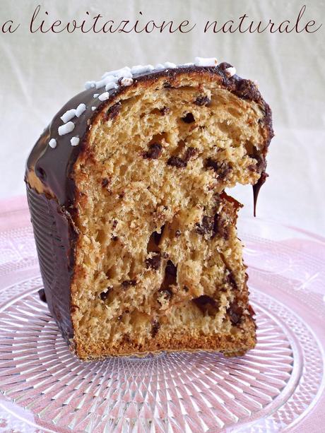 Colomba al cioccolato con lievito madre