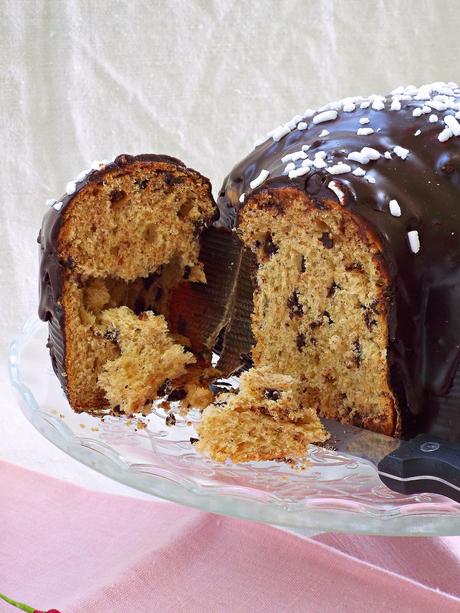 Colomba al cioccolato con lievito madre