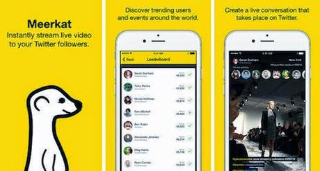 Meerkat: cose possiamo fare, 