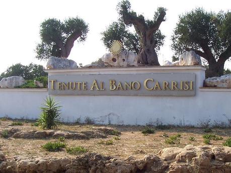 Tenua di Albano Terrisi, paradiso tra gli ulivi