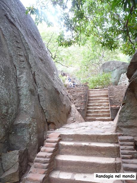 Dambulla / Sigiriya e trasferimento a Polonnaruwa