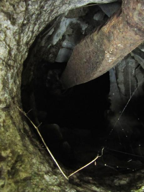 Lieux solitaires // la sorcière à l'intérieur du moulin abandonné