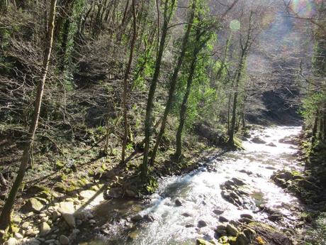 Lieux solitaires // la sorcière à l'intérieur du moulin abandonné