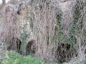 Lieux solitaires // la sorcière à l'intérieur du moulin abandonné