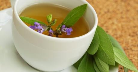 Salvia e Rosmarino per una benefica Tisana Salvia e Rosmarino per una benefica Tisana