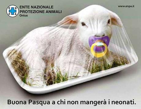 04134_agnello_confezionato