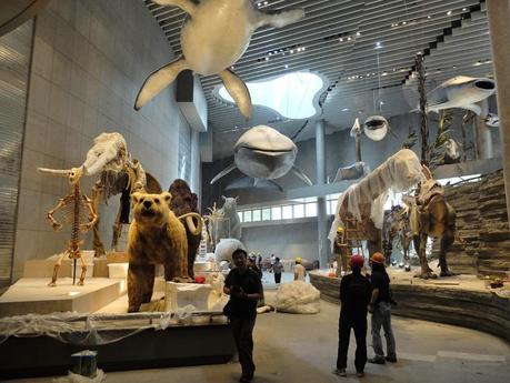 La balenottera azzura di Arte e Scienza da Genova a Shanghai