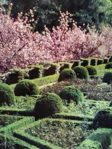 HO COLTIVATO IL MIO GIARDINO DI MARELLA AGNELLI CARACCIOLO DI CASTAGNETO