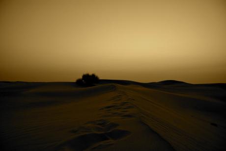 Tramonto nel deserto