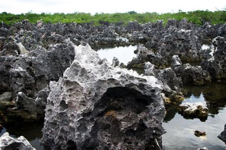 Antille: Tortugas e Grand Cayman sede di bucanieri e d'Inferno