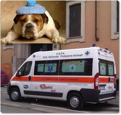 PADOVA - Arriva la prima ambulanza per gli animali