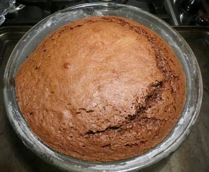 Torta al cioccolato glassato per Pasqua