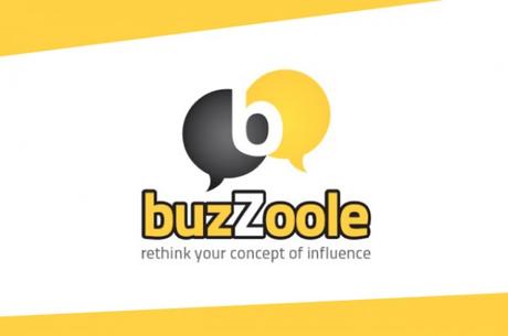 Guadagni online con Buzzoole