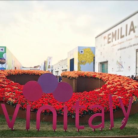 Vinitaly2015 #valcalepiobloggertasting #valcalepioavinitaly #vinitaly2015