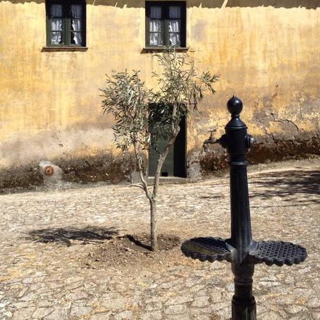 Viaggio in Portogallo: la Valle del Douro