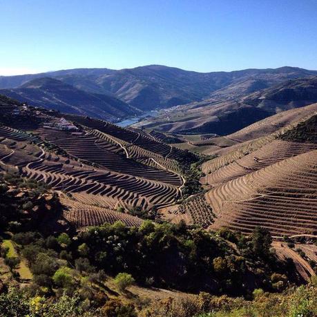 Viaggio in Portogallo: la Valle del Douro