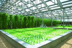 14_CUISINART_HYDROPONIC FARM_40732568_car4011_hydro2_1_