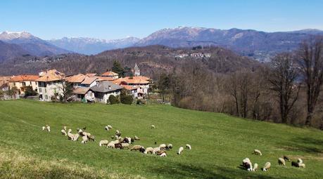 Madonna del Sasso e dintorni (VCO)