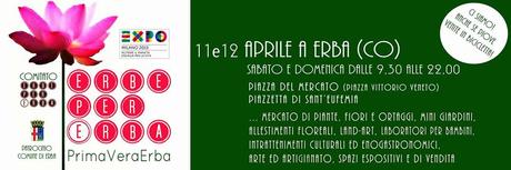 Pezzetti di vita Pezzetti di vita