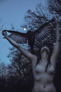 Il capezzolo scomparso foto presa da Facebook