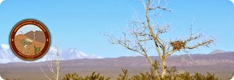 banner-leoncito banner-leoncito